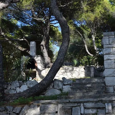 Polic דירה פרימוסטן