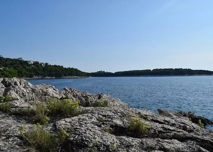 Polic * פרימוסטן